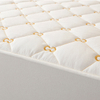 Customized Color Emboidery Soft Waterproof Mattress Protector 