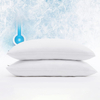 Hot Selling Premium Cooling 100% Waterproof Queen Pillow Protector, Noiseless, Anti - Slip, Breathable From China Supplier JRX-1013