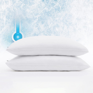 Hot Selling Premium Cooling 100% Waterproof Queen Pillow Protector, Noiseless, Anti - Slip, Breathable From China Supplier JRX-1013