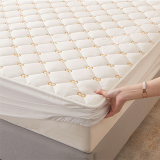 Customized Color Emboidery Soft Waterproof Mattress Protector 