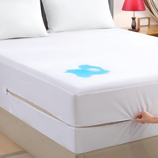 Queen (13-16 In. Deep) Mattress Encasement - 100% Waterproof, Bed Bug Proof, Hypoallergenic - Premium Zippered Six-Sided Cover JRX-2001