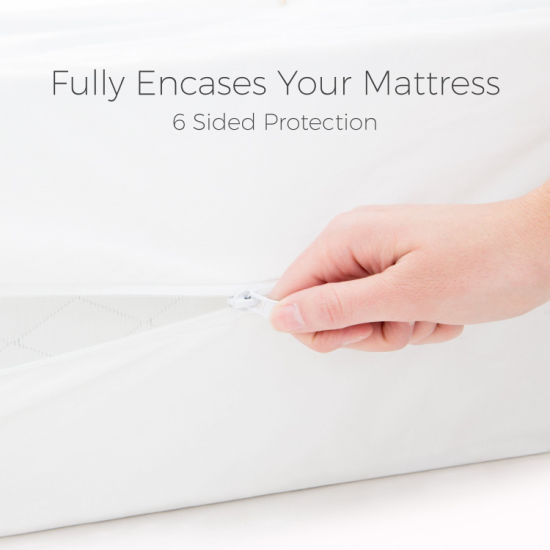 Queen Size Bed Bug Proof Zippered Mattress Cover