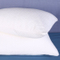 Anti-Bacterial Bamboo Derived Rayon Bed Pillow Cover