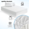 Luxury Quilted Waterproof Anti-Dust Mite Mattress Protector