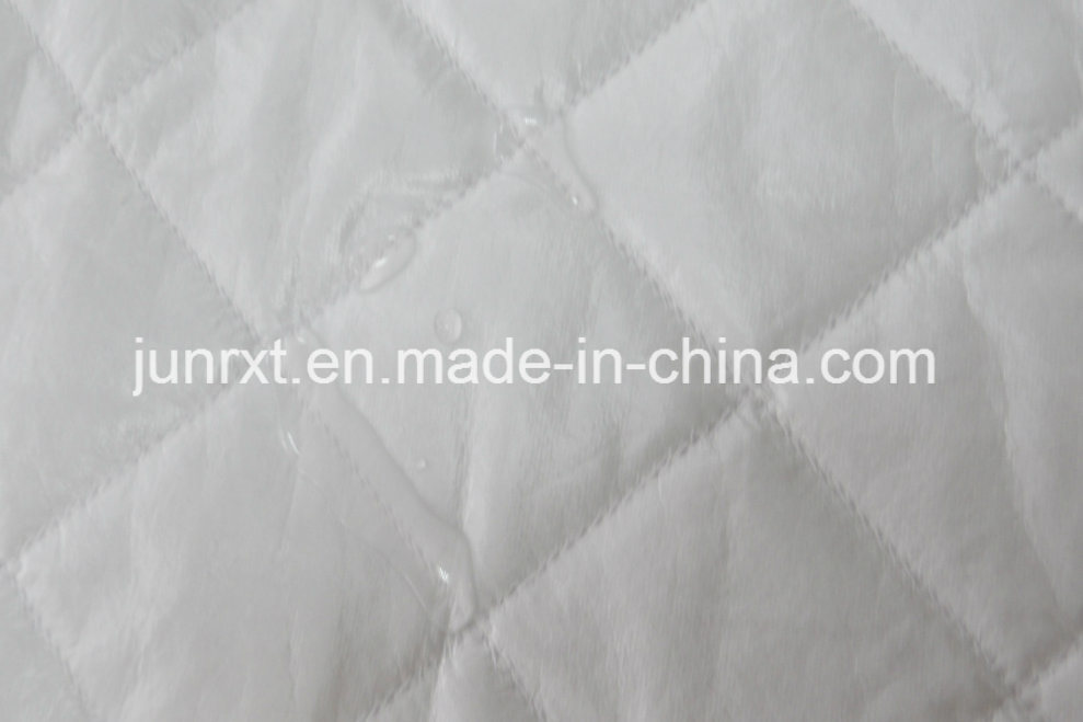 BSCI, Oeko-Tex100, Eco Friendly Waterproof Polyester Pongee Fabric, Waterproof Organ